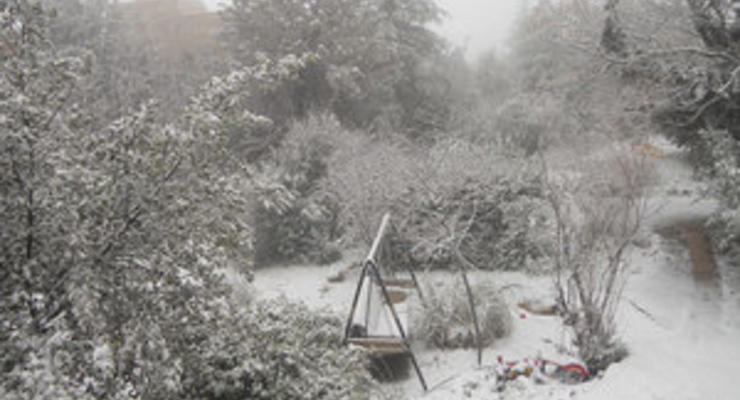 Непогода в Израиле: В Иерусалиме выпал снег