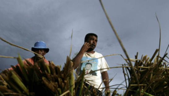 На Мадагаскаре жертвами шторма Ирина стали 73 человека