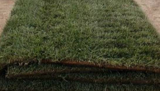 У жителя Великобритании украли искусственный газон