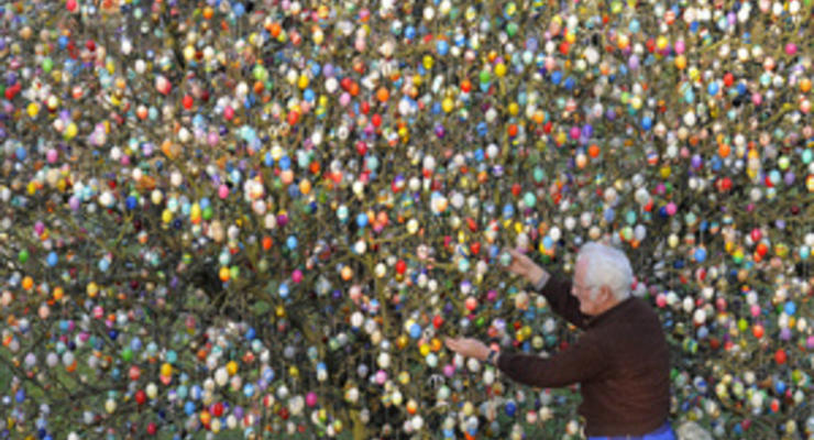 В Германии пенсионер украсил дерево десятью тысячами пасхальных яиц