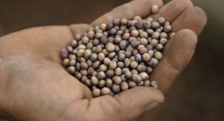 В Украину пытались ввезти более 40 тонн нелегальных товаров с ГМО