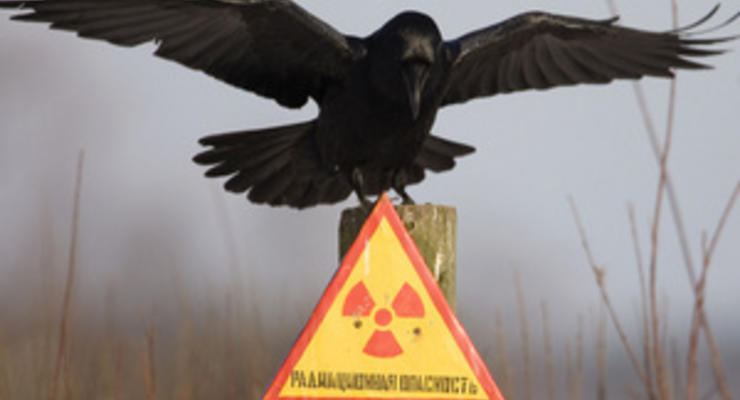 Трое иностранцев на авто пытались прорваться в зону отчуждения Чернобыля
