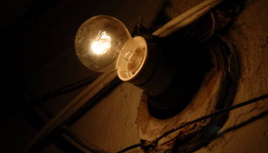 В Карпатах из-за падения срезанной ели на ЛЭП жители 40 сел остались без света