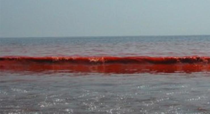 Море возле Бердянска стало кроваво-красным