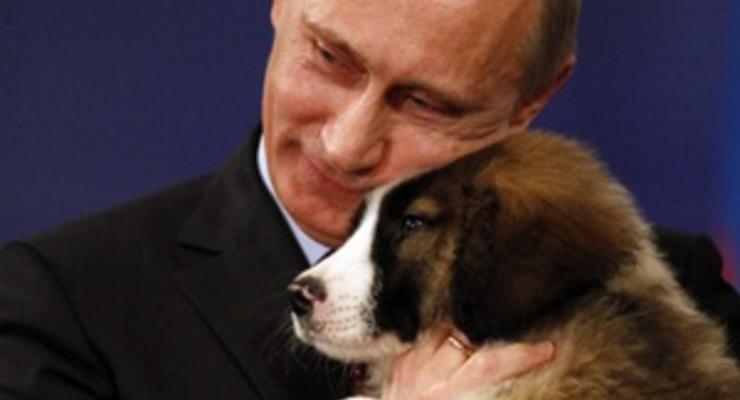 Японский щенок, подаренный Путину, прибыл в Москву
