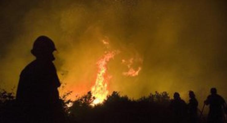 В Севастополе пожар уничтожил 40 гектаров виноградников