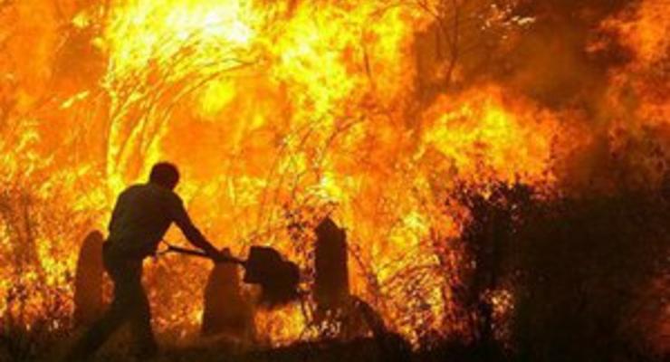 В Полтавской и Житомирской областях не могут потушить торфяные пожары