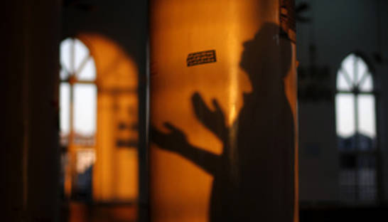 Во Франции неизвестные положили у входа в мечеть свиные головы