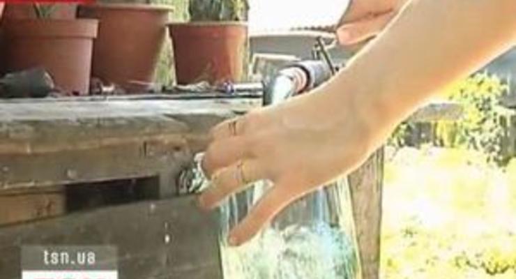 Донецкие коммунальщики заявили, что очистили воду от червей