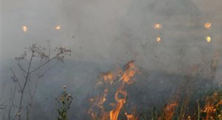 В заповеднике Аскания-Нова произошел пожар: выгорело 100 гектаров травы