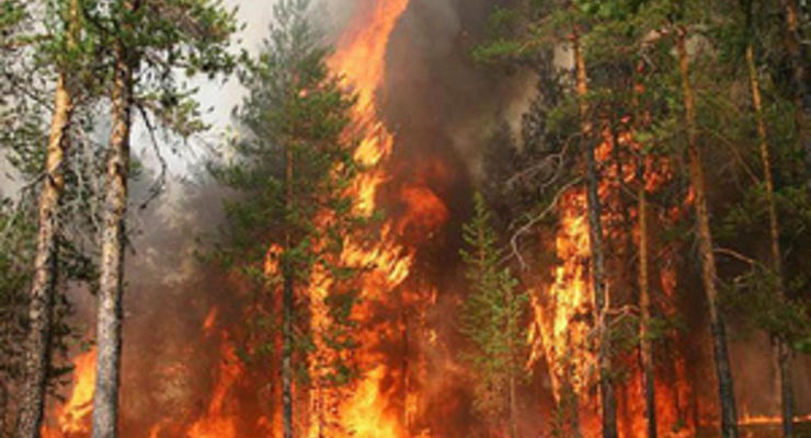 Азаров сообщил, что пожар в Херсонской области локализован