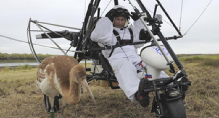 Полет Путина с журявлями был успешным - орнитологи