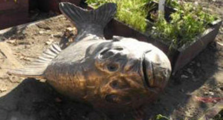 В Якутске хулиганы сломали памятник карасю