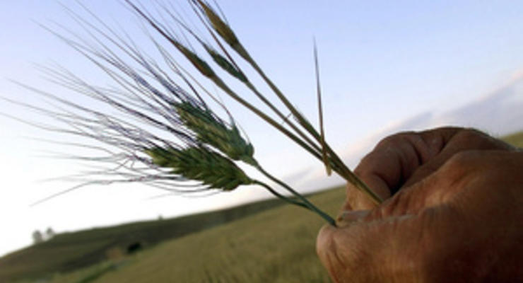 В Херсонской области возбуждено дело в отношении депутата, растратившего зерна из госрезерва на 5 млн грн