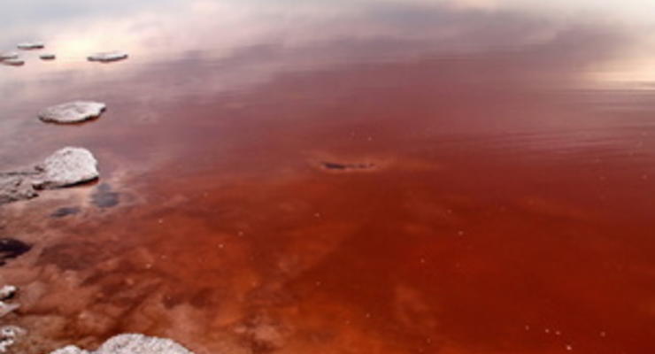 Одесские экологи рассказали, почему стала красной вода в Куяльницком лимане, и как его спасти
