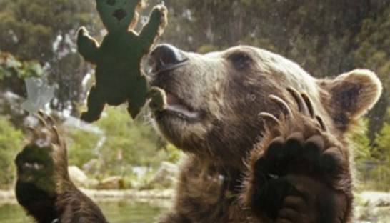 Житель США обнаружил на своей кухне медвежонка, поедающего припасы