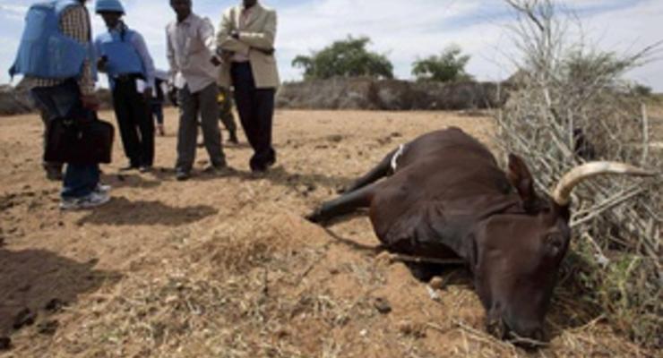 В Кении угонщики скота убили семерых полицейских