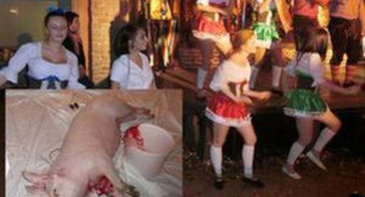 Во Львове возник скандал из-за публичного закалывания свиней в одном из ресторанов