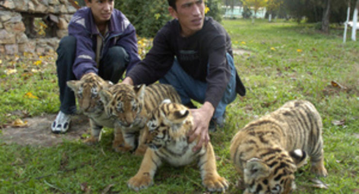 В Ташкенте скандал в зоопарке: директора арестовали за воровство еды у животных