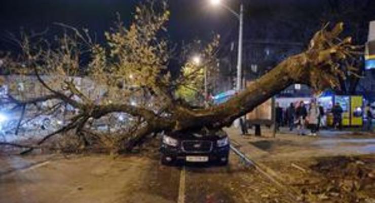 Шторм в Одессе: в центре города дерево рухнуло на автомобиль