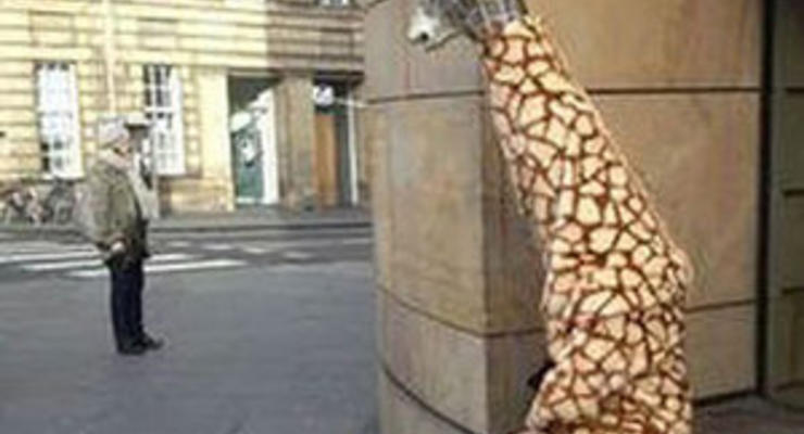 В Шотландии появился Добрый Жираф