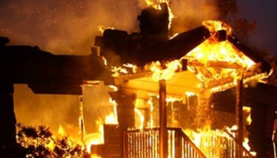 В Винницкой области сгорел сарай с 30 свиньями