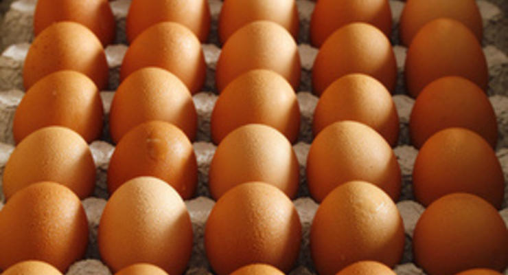 В Тунисе мужчина скончался после того, как на спор съел 28 яиц