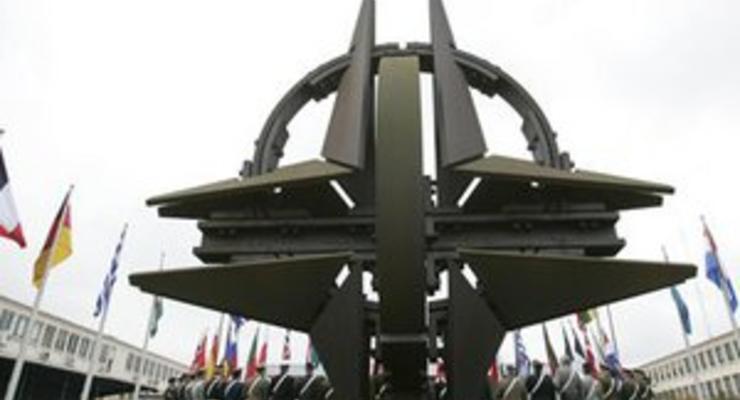 В Тбилиси подрались сторонники и противники вступления в НАТО