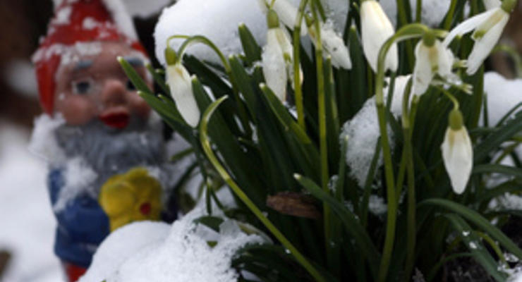 Британец продает систему охраны в виде садового гнома