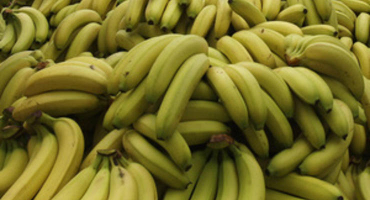 Журналистам Би-би-си запретили есть бананы на рабочем месте