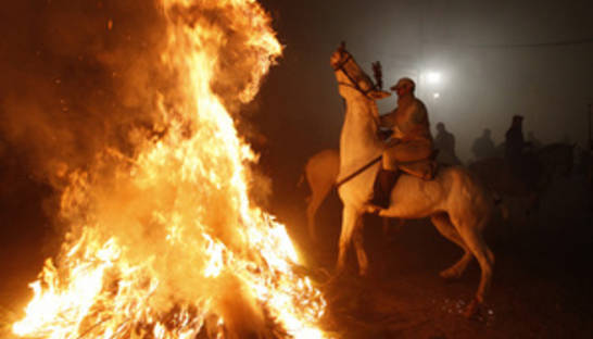 Фотогалерея: Огненные кони Пиреней. В Испании отпраздновали Ночь святого Антония