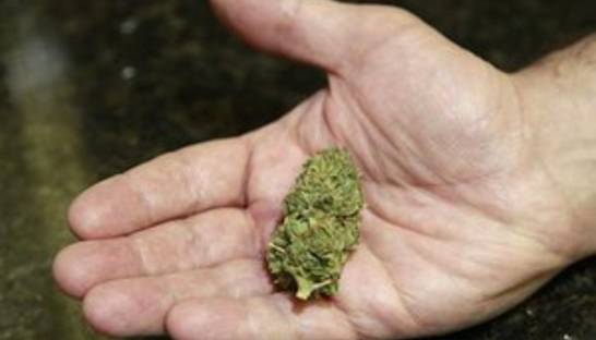 В колонию под Ровно осужденному пытались передать марихуану под видом зеленого чая