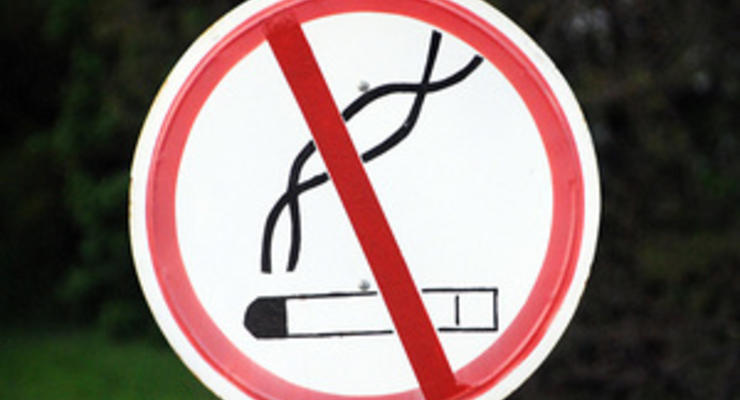 Депутат предложил частично отменить запрет на курение в ресторанах и кафе