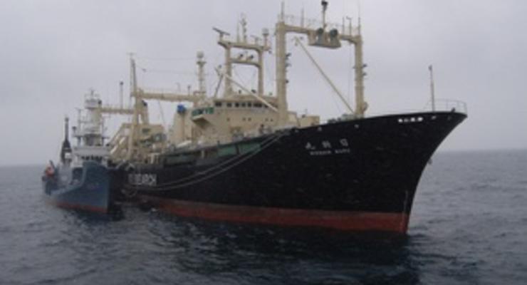 Нарушив судебный запрет, экологи из Sea Shepherd столкнулись с японскими китобоями