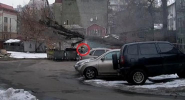 Видео с киевлянкой, на которую едва не упало дерево, стало хитом YouTube
