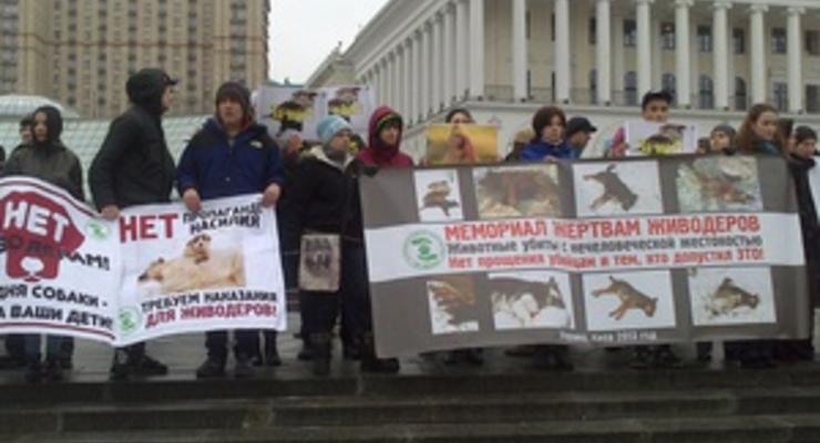В Киеве прошла акция в защиту бездомных животных