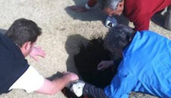 Черная дыра: американец провалился под землю во время игры в гольф