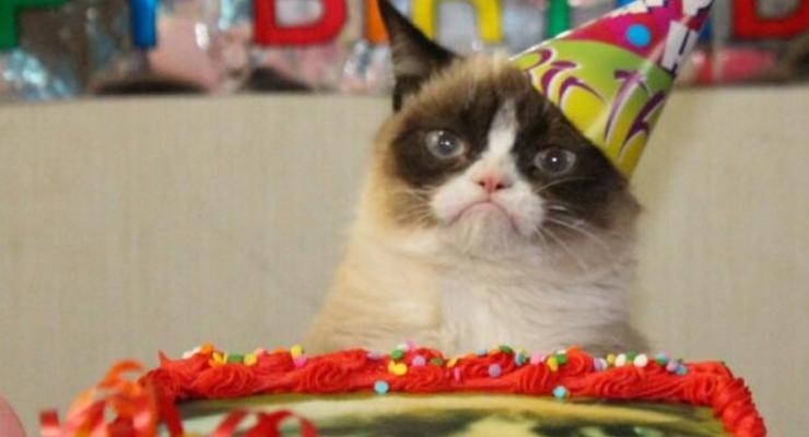 Ненавижу вас: Грустный кот отметил первый день рождения (ФОТО)