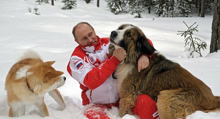 День в фото: Путин с собаками, Луценко на крестинах и роботы-гитаристы