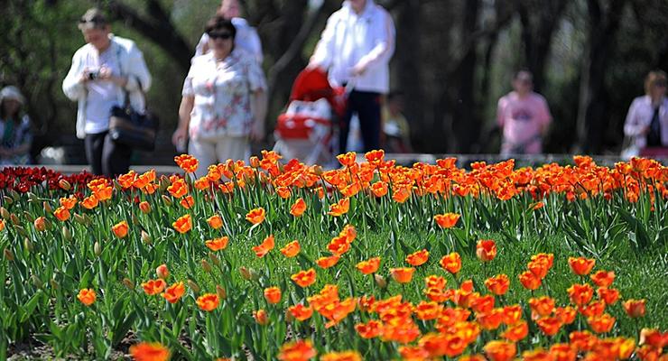 В Киеве открылась выставка тюльпанов из 400 тысяч цветов (ФОТО, ВИДЕО)