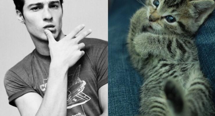 Красивые мужчины и котята соревнуются в привлекательности (ФОТО)