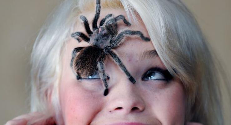 Спайдервумен: Девушка завела тарантула, чтобы справиться с фобией (ФОТО)