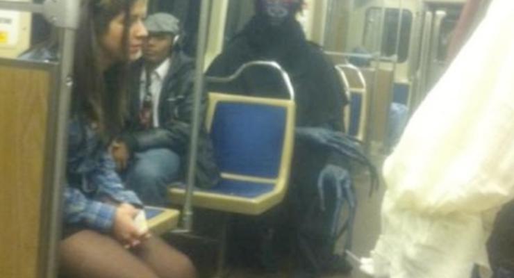 Худшие в мире пассажиры метро найдены в Нью-Йорке (ФОТО)