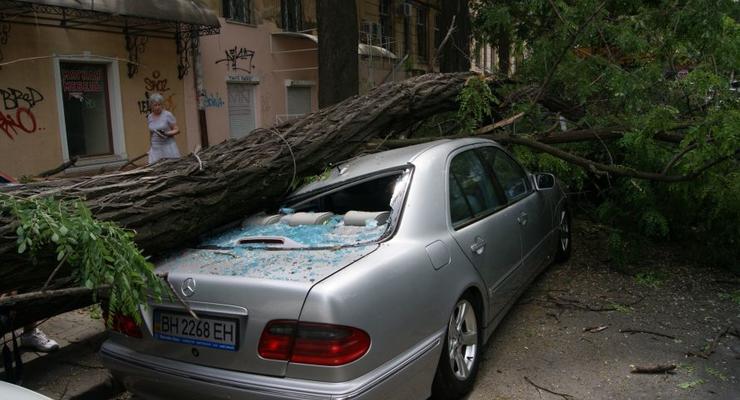 В центре Одессы на Porsche и Mercedes упало дерево