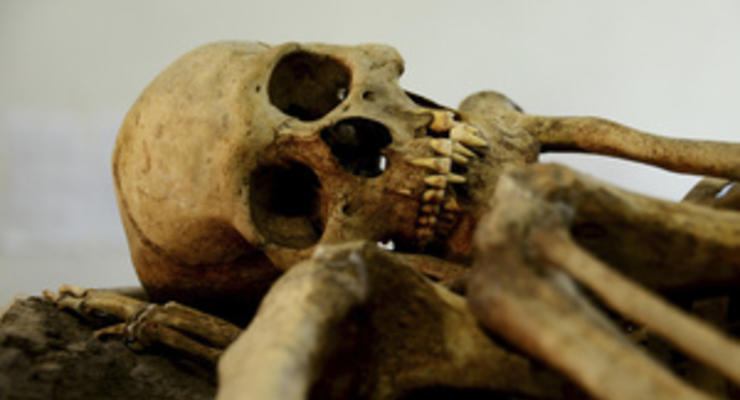 В Ярославской области обнаружены 15 человеческих скелетов