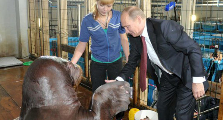 День в фото: Путин и котики