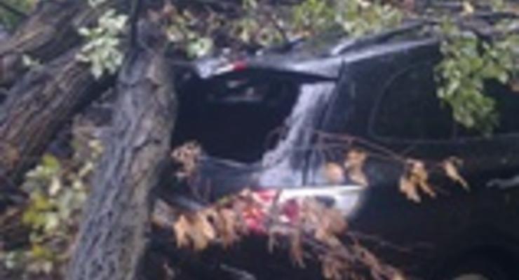 На Парковой дороге в Киеве дерево повредило два автомобиля, стоявших в пробке