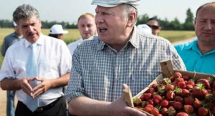 Оппозиционер предлагает объявить Жириновского персоной нон грата