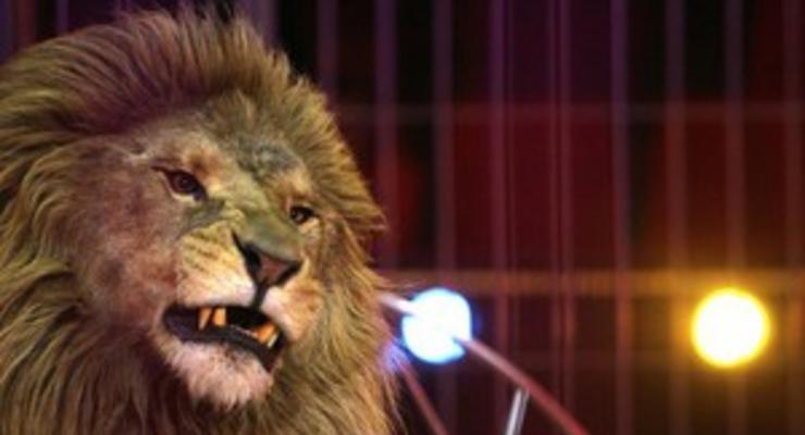 На улицах столицы Кувейта поймали льва