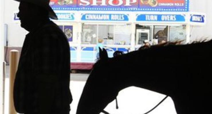 В США полиция задержала нетрезвого мужчину на лошади с собакой в рюкзаке